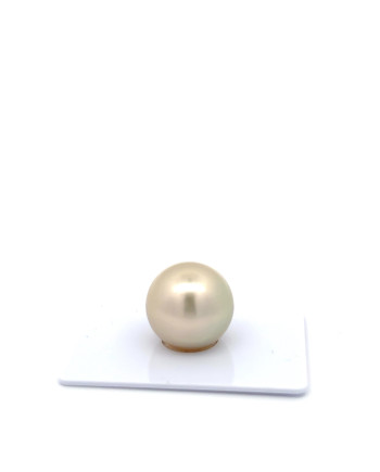 15mm+ fine  grade Tahitian Black Pearl, French Polynesia