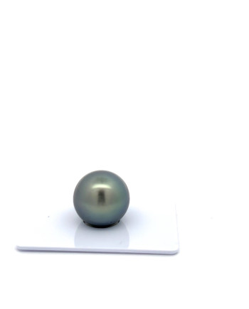 15mm+ fine  grade Tahitian Black Pearl, French Polynesia