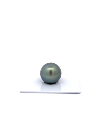 15mm+ fine  grade Tahitian Black Pearl, French Polynesia