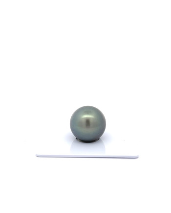 15mm+ gem  grade Tahitian Black Pearl, French Polynesia