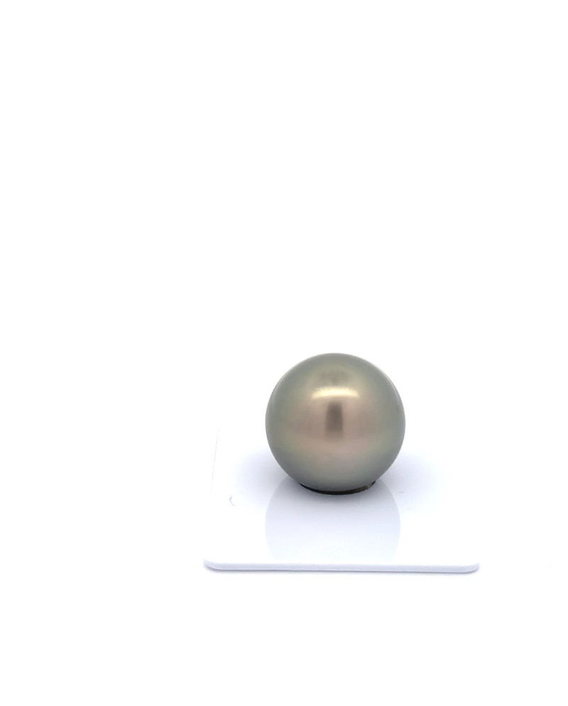 15mm+ gem  grade Tahitian Black Pearl, French Polynesia