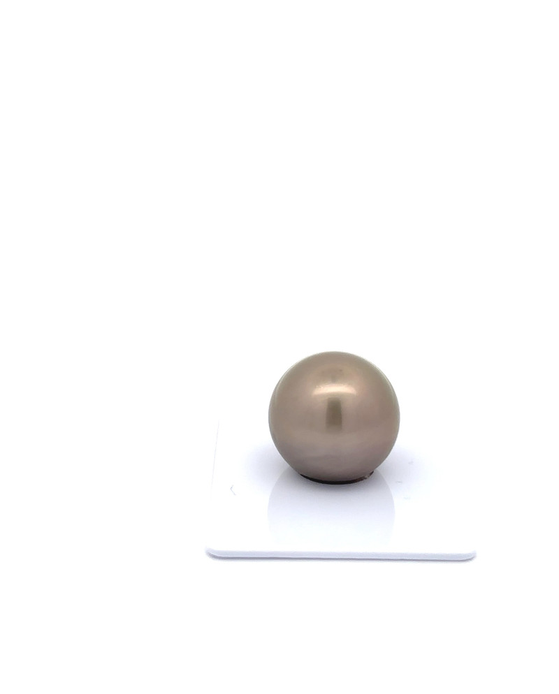 15mm+ fine  grade Tahitian Black Pearl, French Polynesia