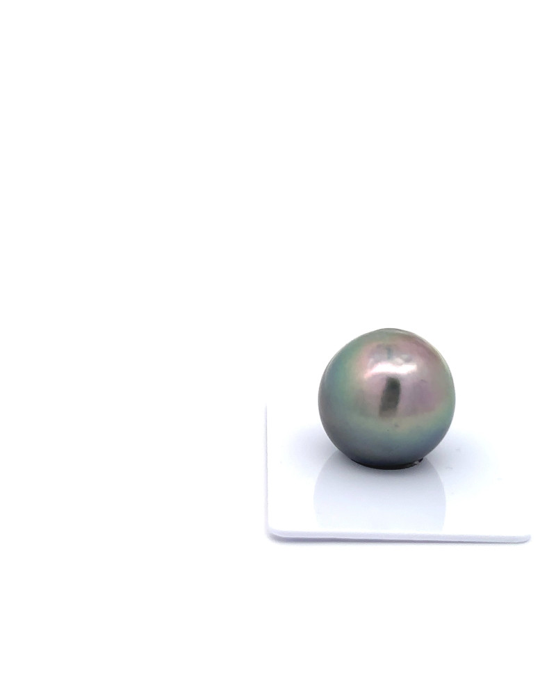 15mm+ fine  grade Tahitian Black Pearl, French Polynesia