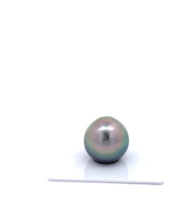 15mm+ fine  grade Tahitian Black Pearl, French Polynesia