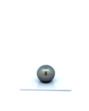 15mm+ fine  grade Tahitian Black Pearl, French Polynesia  