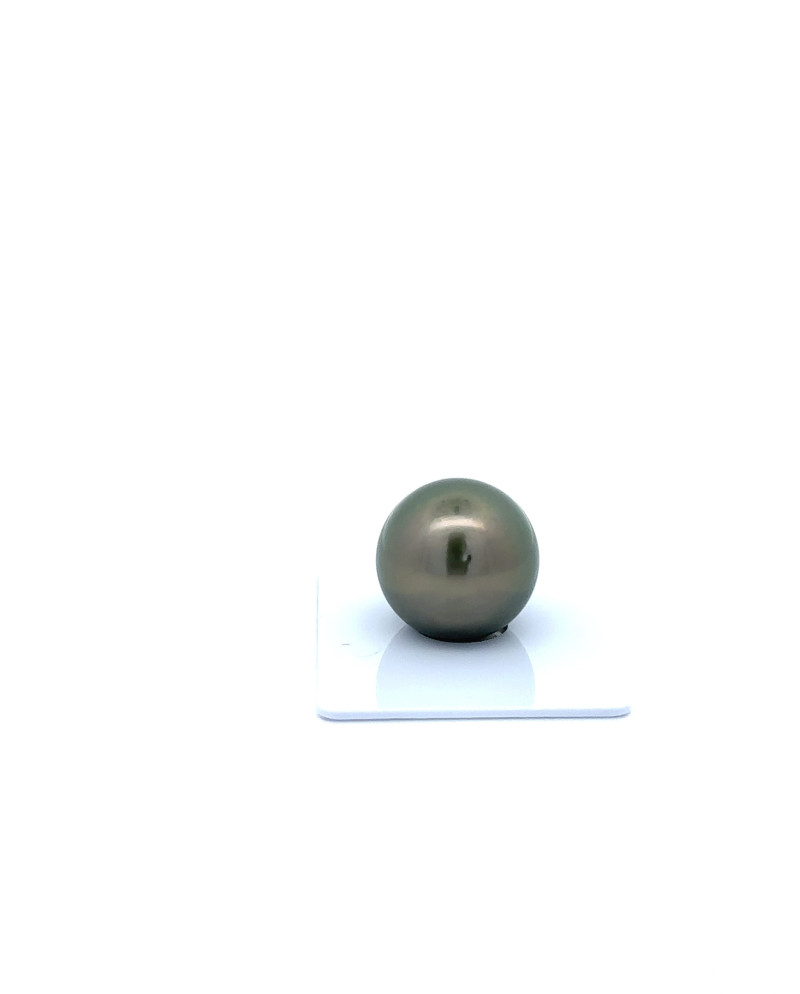 15mm+ jewel  grade Tahitian Black Pearl, French Polynesia  