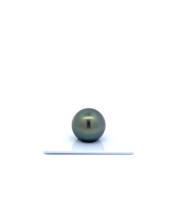 15mm+ fine  grade Tahitian Black Pearl, French Polynesia  