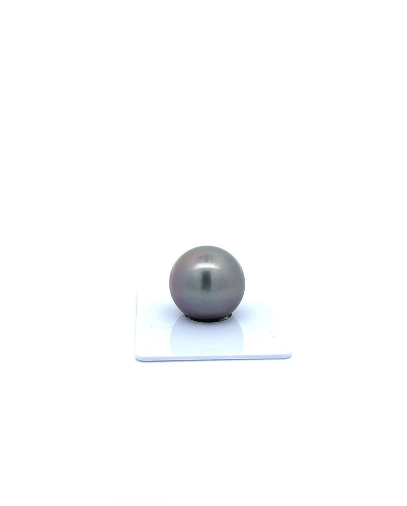 15mm+ jewel  grade Tahitian Black Pearl, French Polynesia  