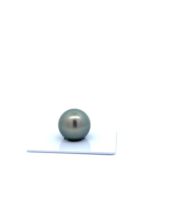 15mm+ fine  grade Tahitian Black Pearl, French Polynesia  