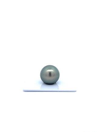 15mm+ fine  grade Tahitian Black Pearl, French Polynesia  