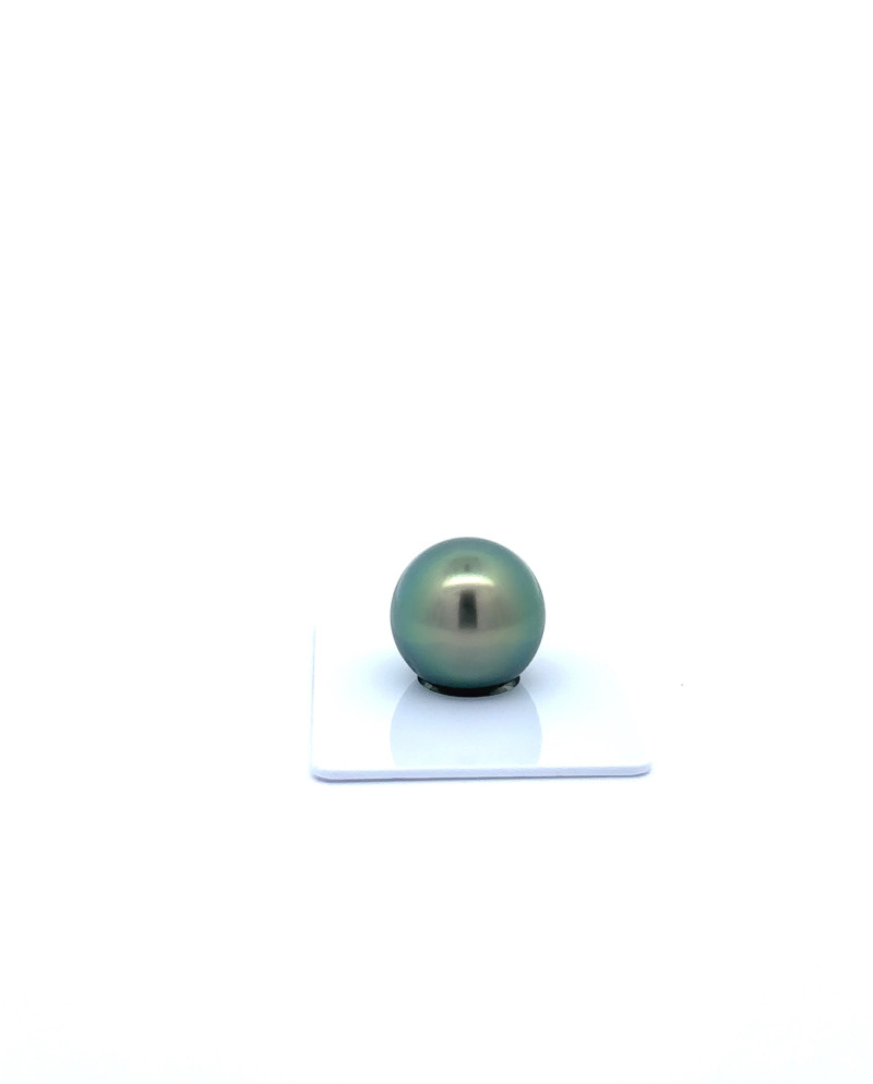 15mm+ jewel  grade Tahitian Black Pearl, French Polynesia  