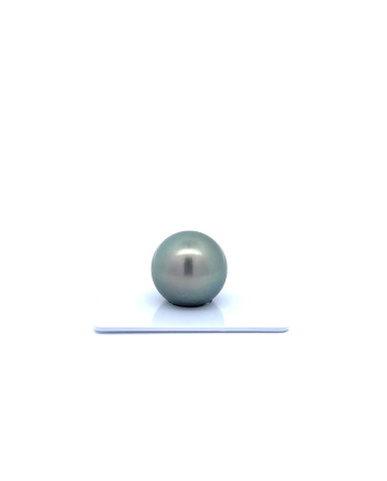 15mm+ gem  grade Tahitian Black Pearl, French Polynesia  