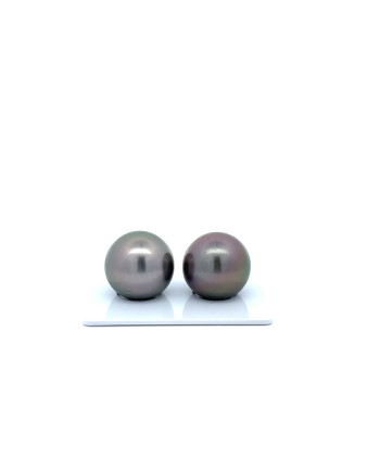15mm+ gem  grade Tahitian Black Pearl, French Polynesia  