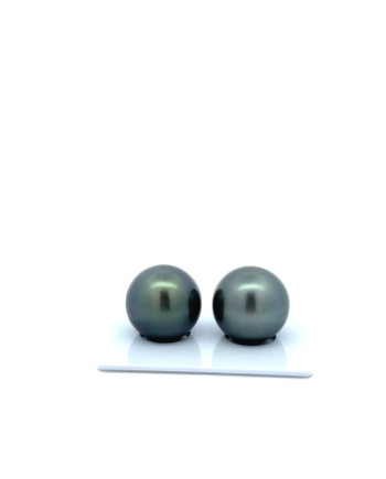 15mm+ gem  grade Tahitian Black Pearl, French Polynesia  