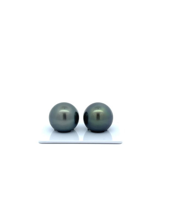 15mm+ gem  grade Tahitian Black Pearl, French Polynesia  