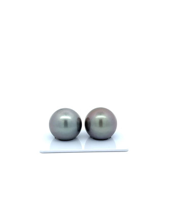 15mm+ gem  grade Tahitian Black Pearl, French Polynesia  