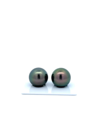 15mm+ fine  grade Tahitian Black Pearl, French Polynesia  