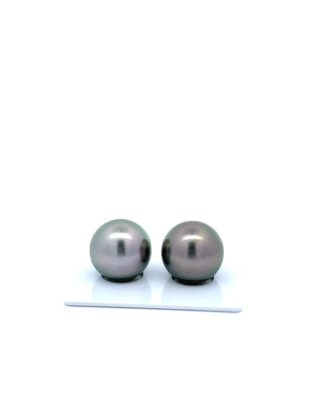 15mm+ fine  grade Tahitian Black Pearl, French Polynesia  
