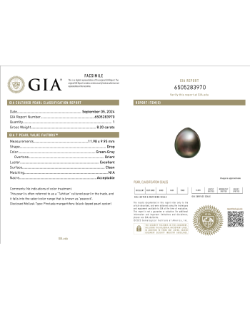 9mm+ gem  grade Tahitian Black Pearl, French Polynesia  