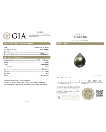 12mm+ gem  grade Tahitian Black Pearl, French Polynesia  