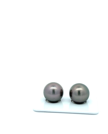 12mm+ jewel  grade Tahitian Black Pearl, French Polynesia  