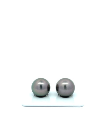 12mm+ jewel  grade Tahitian Black Pearl, French Polynesia  