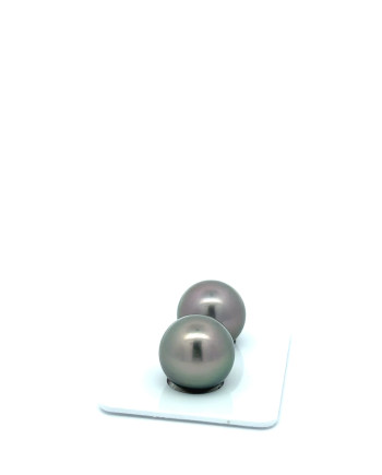 12mm+ jewel  grade Tahitian Black Pearl, French Polynesia  