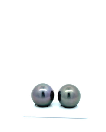 15mm+ jewel  grade Tahitian Black Pearl, French Polynesia  