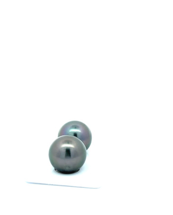 15mm+ jewel  grade Tahitian Black Pearl, French Polynesia  