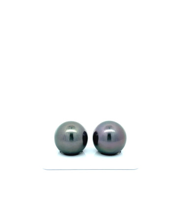 15mm+ jewel  grade Tahitian Black Pearl, French Polynesia  
