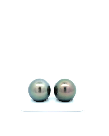 15mm+ jewel  grade Tahitian Black Pearl, French Polynesia  