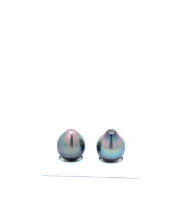 12mm+ fine  grade Tahitian Black Pearl, French Polynesia  