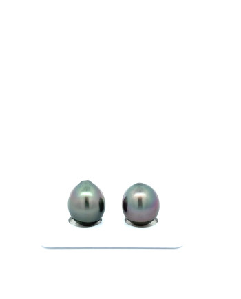 9mm+ gem  grade Tahitian Black Pearl, French Polynesia  