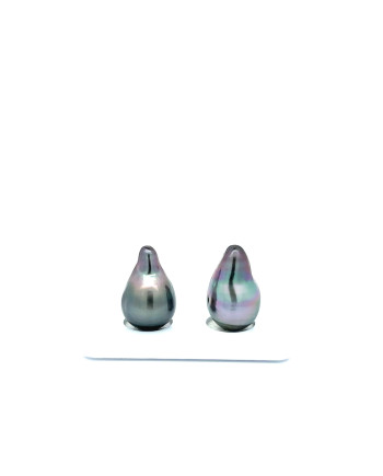 9mm+ fine  grade Tahitian Black Pearl, French Polynesia  