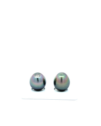 12mm+ gem  grade Tahitian Black Pearl, French Polynesia  