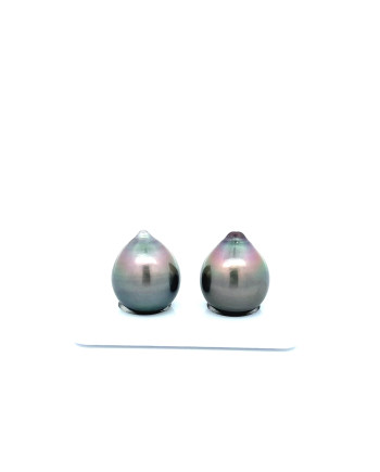 12mm+ fine  grade Tahitian Black Pearl, French Polynesia  