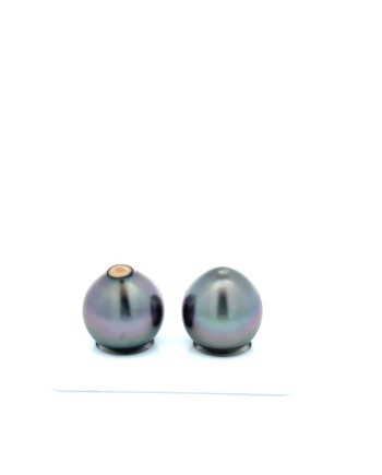 12mm+ fine  grade Tahitian Black Pearl, French Polynesia  