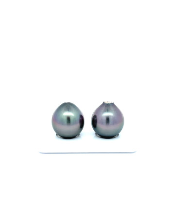 12mm+ fine  grade Tahitian Black Pearl, French Polynesia  