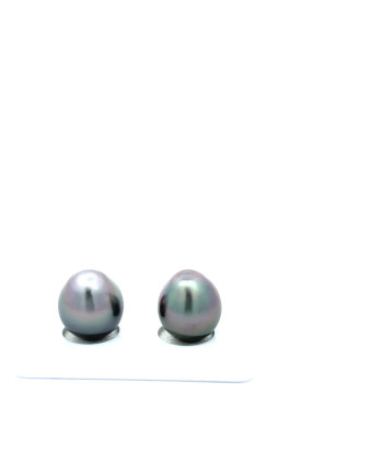 9mm+ fine  grade Tahitian Black Pearl, French Polynesia  