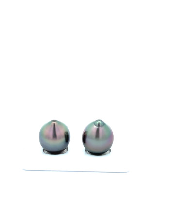 12mm+ fine  grade Tahitian Black Pearl, French Polynesia  