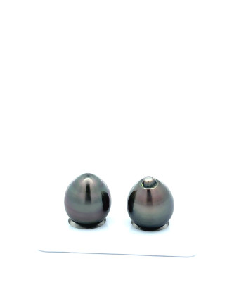 12mm+ jewel  grade Tahitian Black Pearl, French Polynesia  