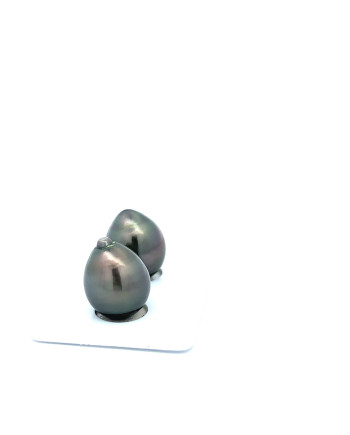 12mm+ jewel  grade Tahitian Black Pearl, French Polynesia  