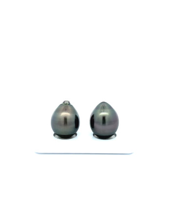 12mm+ jewel  grade Tahitian Black Pearl, French Polynesia  