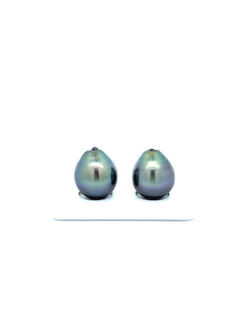 12mm+ jewel  grade Tahitian Black Pearl, French Polynesia  