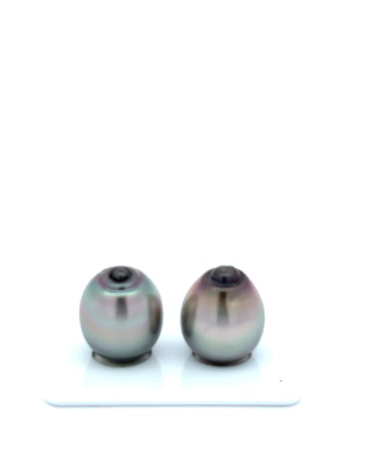 12mm+ jewel  grade Tahitian Black Pearl, French Polynesia  