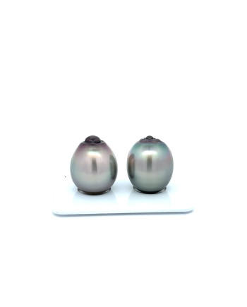 12mm+ jewel  grade Tahitian Black Pearl, French Polynesia  