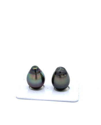 12mm+ jewel  grade Tahitian Black Pearl, French Polynesia  