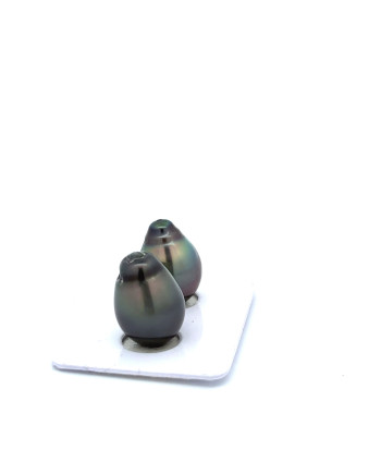 12mm+ jewel  grade Tahitian Black Pearl, French Polynesia  