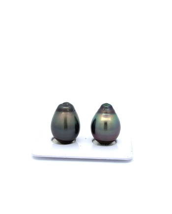 12mm+ jewel  grade Tahitian Black Pearl, French Polynesia  