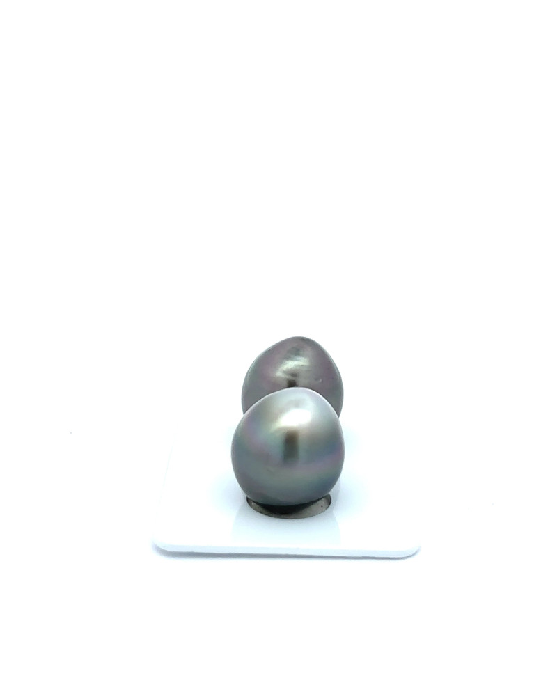 12mm+ jewel  grade Tahitian Black Pearl, French Polynesia  